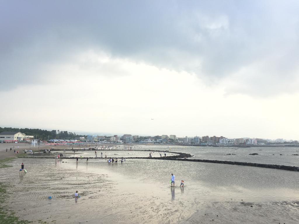 Вилла Little Haenyeo Чеджудо Экстерьер фото